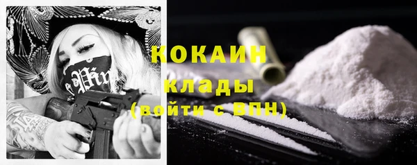 молекула духа Алексин