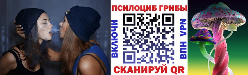 где продают наркотики  Петропавловск-Камчатский  Галлюциногенные грибы GOLDEN TEACHER 